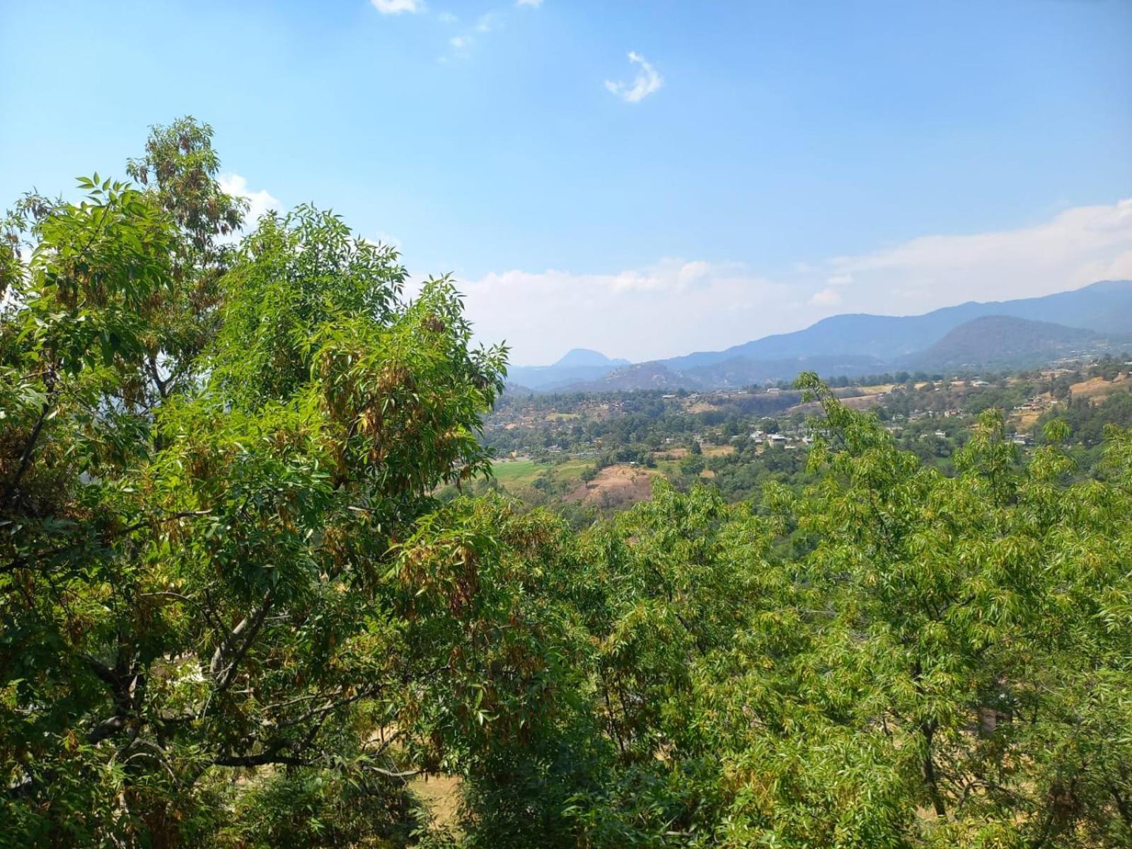 Solache Inn Zitácuaro 객실 사진